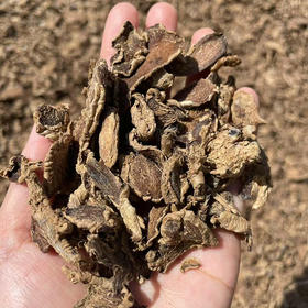 【九蒸九晒姜片】精选云南小黄姜，九蒸九晒古法制成！