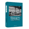 蒸汽洗衣房:美国和英国的性别、技术和工作（1880—1940） 商品缩略图6
