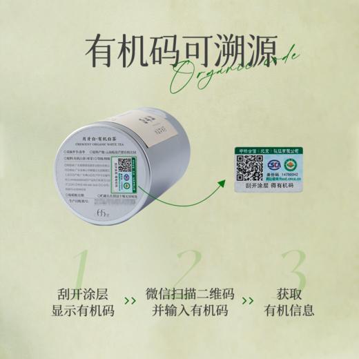 赏丨2024年月牙白 有机白茶 特级 60g（银色罐装/补充装） 商品图10