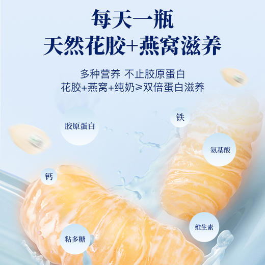 【鲜嫩美味】燕吉安 花胶燕窝炖奶-普通装 70g*12瓶/箱 入口顺滑 商品图5