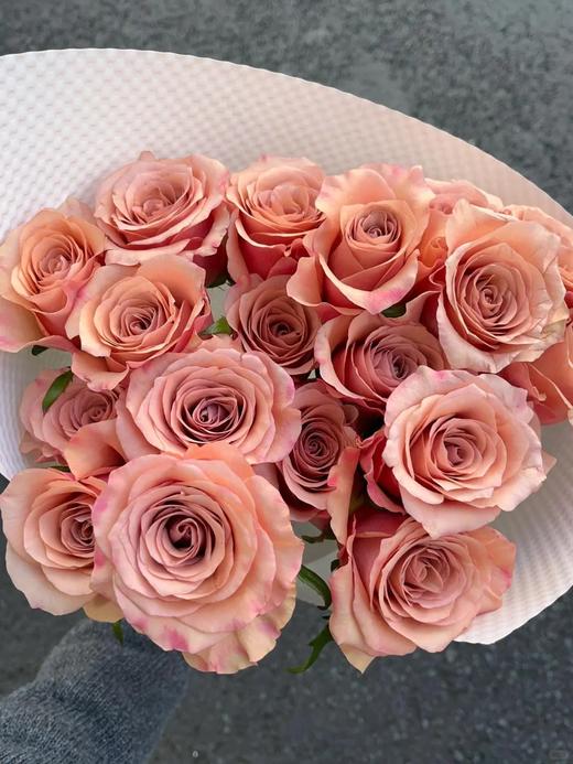 国产单头玫瑰莫泊玫瑰10支 商品图3