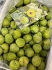 四川高山青脆李（大果） 商品缩略图0
