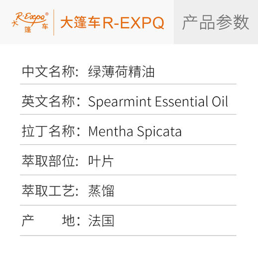 绿薄荷精油/留兰香 法国精油原料批发 芳疗护理调香香薰大篷车精油 商品图2