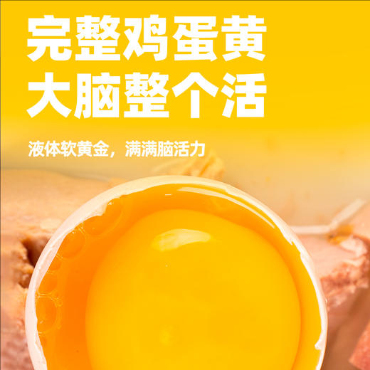 耐威克狗狗低温慢炖蒸煮罐头｜全犬种通用｜宠物零食湿粮｜3h文火慢炖｜营养高吸收 商品图4