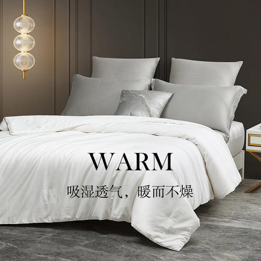60支大提花悦享蚕丝被 商品图5