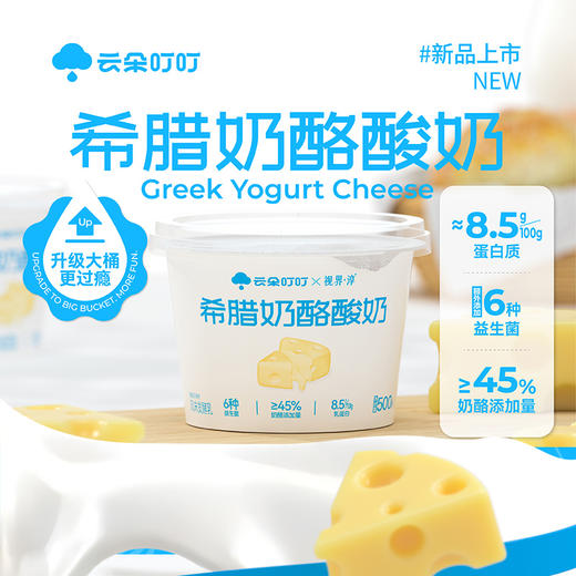 云朵叮叮奶酪酸奶500g*1桶（厂家直发） 商品图1