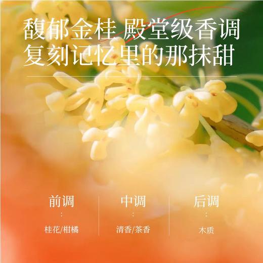 昱芝夕桂花香味护手霜冬季手部护理滋润保湿易
吸收不油腻持久留香 商品图2