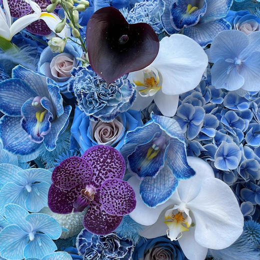 《海之蓝》夏季清爽高级感蓝色花束（需要提前一天以上预定） 商品图3