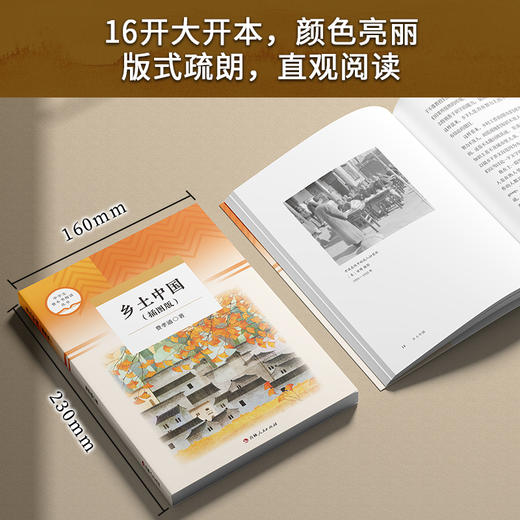 乡土中国(插图版)(WX) 商品图3