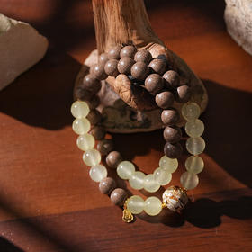 脾胃：双圈设计款