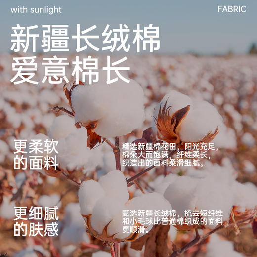 臻品系列100支提花刺绣禧嫁四件套(爱的华尔兹) 商品图3