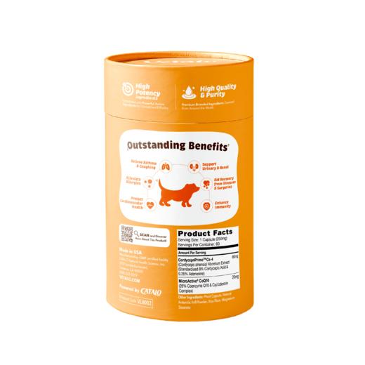 CATALO家得路VETALO宠物营养虫草CS-4自护1粒=13条虫草含辅酶Q10（香港直邮/2周左右到货） 商品图3