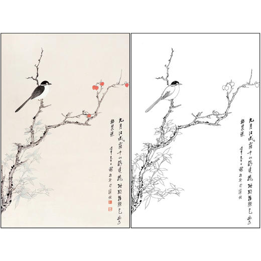 谢稚柳花鸟工笔画白描底稿《珊瑚幽情》四尺三开临摹勾线高清打印稿XZ03 商品图0