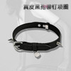 魅灵温变 曜石黑真皮黑孢铆钉项圈 项圈+牵引 商品缩略图3