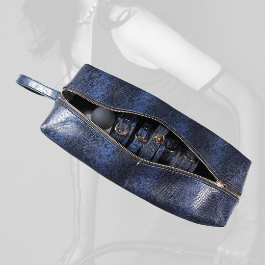 魅灵温变 蛇纹套装  半套 商品图4