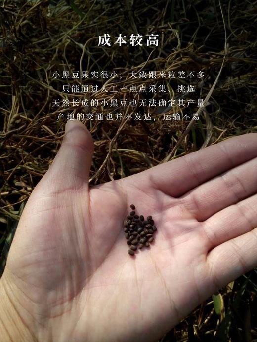 野生小黑豆茶 商品图2