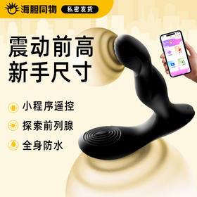 MizzZee 独龙钻前列腺按摩震动肛塞