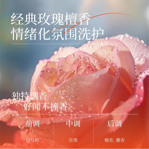 【去老人味】昱芝夕中老年润肤身体乳保湿除臭
舒缓易吸收玫瑰檀香 商品图3