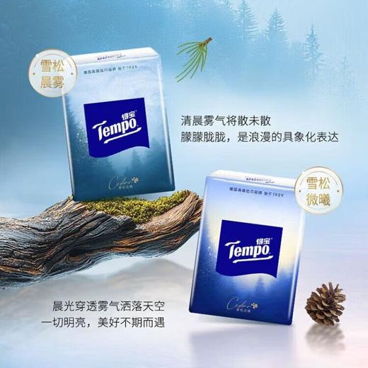 得宝雪松味印花迷你手帕纸12包 商品图2