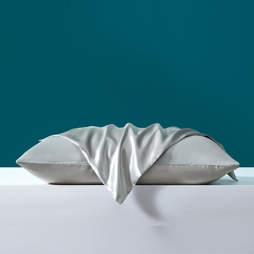 桑蚕丝素色枕套 商品图4