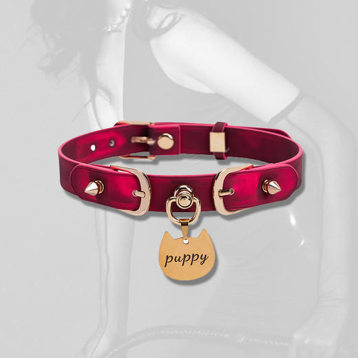魅灵温变 温变朋克喵印choker 项圈+牵引 商品图3