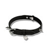 魅灵温变 曜石黑真皮黑孢铆钉项圈 项圈+牵引 商品缩略图2