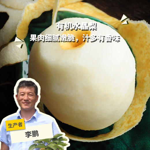 有机水晶梨 | 合作生产 *Organic crystal pear | Partner Production 商品图0