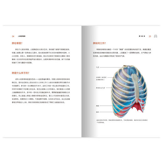 《BBC人体使用指南》 商品图7