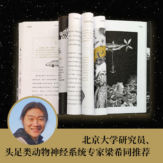 《章鱼奇想》未知世界的生物  [奥地利】米歇尔·斯塔瓦瑞克 著 [ 德国】米凯莱·甘瑟  绘王萍 万迎朗 译  孙天任 审定 商品图5
