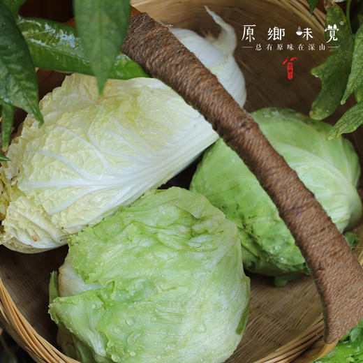 【限时特价！】生态露地蔬菜/洋葱/紫甘蓝/（基地直发-顺丰包邮）|多种蔬菜，来自河北张家口，生产者：李鹏飞【合作生产，公平贸易】 商品图9