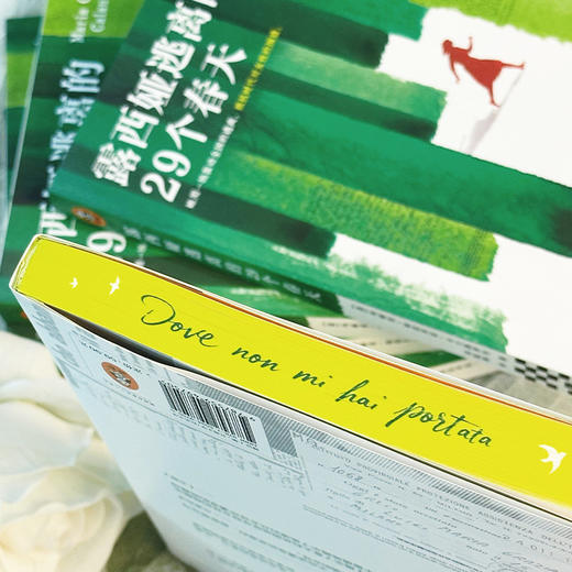 露西娅逃离的29个春天，她用一场轰动全国的逃离，抵抗时代对女性的围猎 商品图5