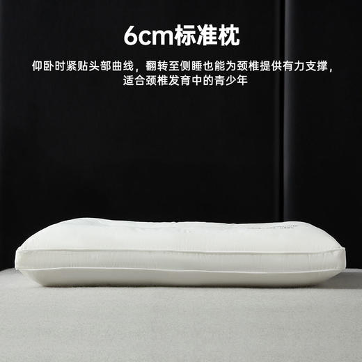 可水洗超柔抗菌舒坦枕 商品图2