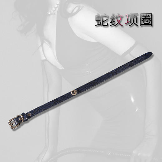 魅灵温变 蛇纹项圈 商品图1