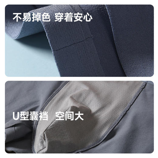 男士全棉舒适内裤 商品图5