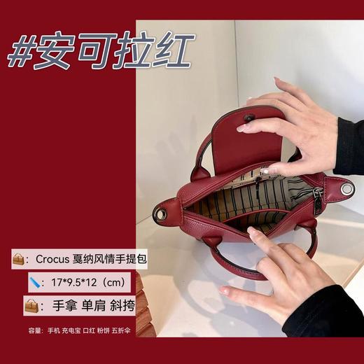 【叮咚~是幸福来敲门啦】Crocus2025新款百搭戛纳风情手提包日常通勤时尚多款可选高级感斜挎包 商品图2