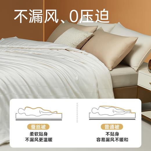 四季子母二合一蚕丝被 商品图4