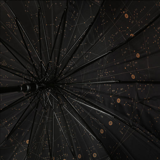 盗墓笔记黑金古刀伞 商品图2