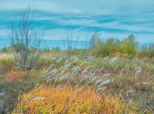 中国北极—东极穿越 | 从最北漠河到最东抚远，大小兴安岭、北大荒、兴凯湖赏秋13天 商品图3