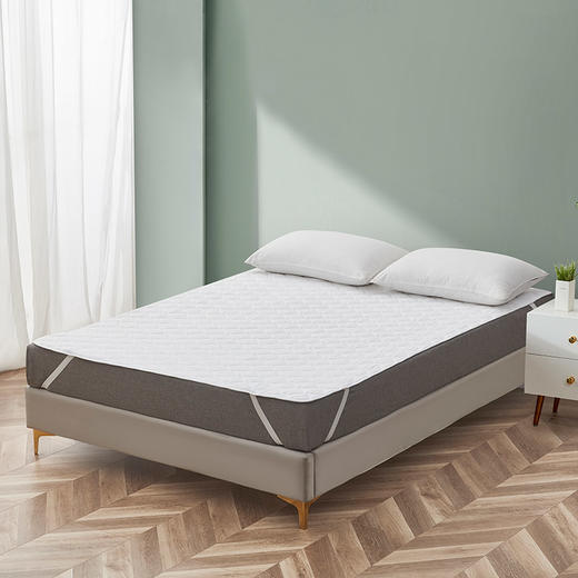 抑菌可水洗席梦思保护垫 商品图1