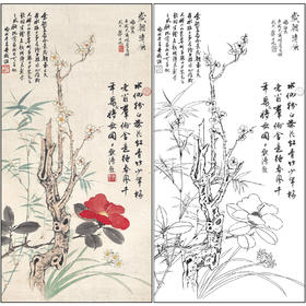 谢稚柳花鸟工笔画白描底稿《岁朝清供》临摹勾线高清打印稿XZ06