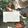 《阳台种菜》 商品缩略图9