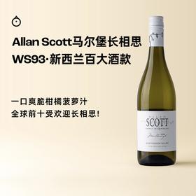企鹅市集|新西兰百大酒款 ALLAN SCOTT 马尔堡长相思干白葡萄酒2024 柑橘菠萝香