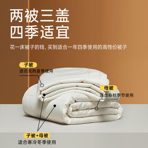 四季子母二合一蚕丝被 商品图3