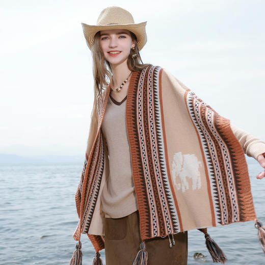 三彩2025新款民族风条纹大象提花针织披肩流苏约会出游旅行小众 商品图2
