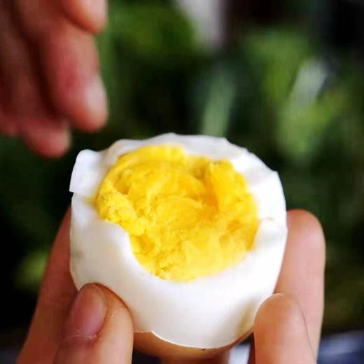 【农场直邮】纯草农场艾叶蛋 | 40枚（廊坊纯草生态农场） 商品图0