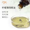 柠檬薄荷精油 印度精油原料批发芳疗护理香氛调香香薰大篷车精油 商品缩略图1
