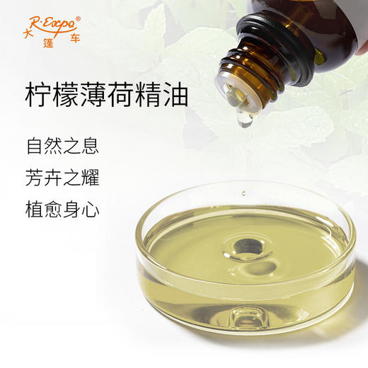 柠檬薄荷精油 印度精油原料批发芳疗护理香氛调香香薰大篷车精油 商品图1