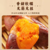 六鳌蜜薯 地标产品 香甜软糯 无筋无丝 3斤装  A-5014 商品缩略图2