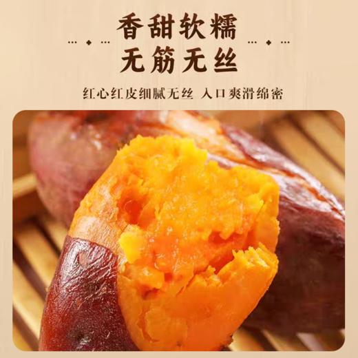 六鳌蜜薯 地标产品 香甜软糯 无筋无丝 3斤装  A-5014 商品图2