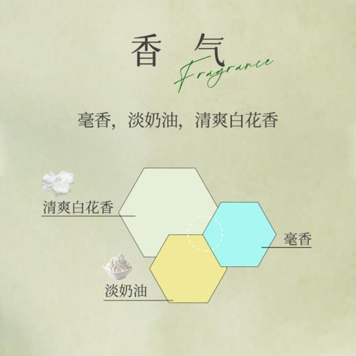 赏丨2024年月牙白 有机白茶 特级 60g（银色罐装/补充装） 商品图6